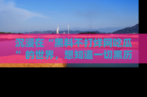 沉浸在“黑料不打烊网吃瓜”的世界，想知道一切黑历史与内幕信息的网站！