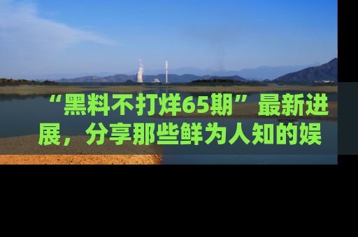 “黑料不打烊65期”最新进展,分享那些鲜为人知的娱乐八卦