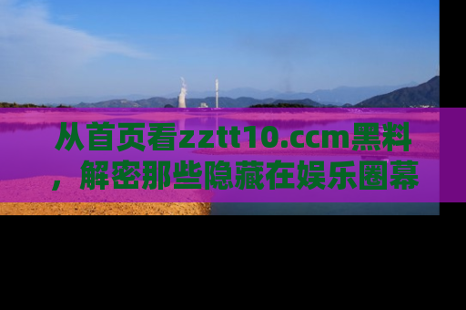 从首页看zztt10.ccm黑料，解密那些隐藏在娱乐圈幕后的丑闻故事！