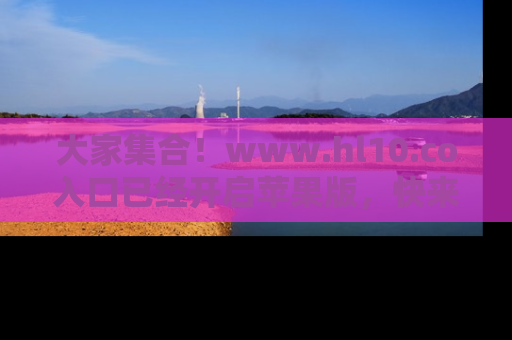 大家集合！www.hl10.co入口已经开启苹果版，快来一起享受吃瓜吧！