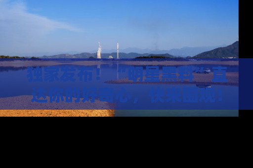 独家发布！“明星黑料”直达你的好奇心，快来围观！