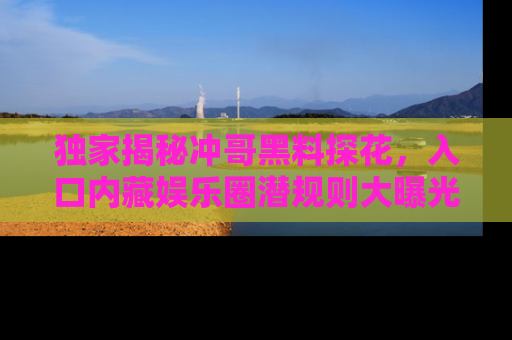 独家揭秘冲哥黑料探花，入口内藏娱乐圈潜规则大曝光