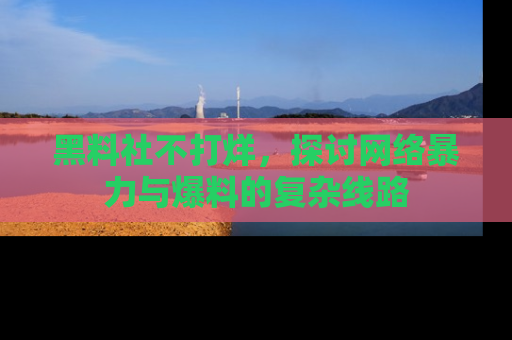 黑料社不打烊，探讨网络暴力与爆料的复杂线路