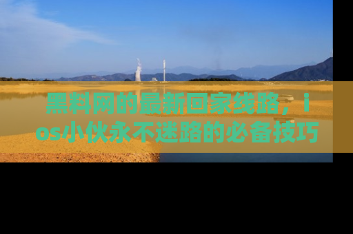 黑料网的最新回家线路，ios小伙永不迷路的必备技巧！