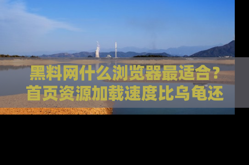 黑料网什么浏览器最适合？首页资源加载速度比乌龟还慢的体验真心吐槽！