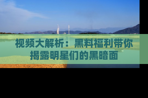 视频大解析：黑料福利带你揭露明星们的黑暗面