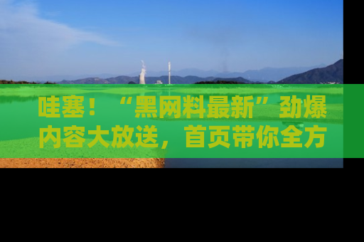 哇塞！“黑网料最新”劲爆内容大放送，首页带你全方位了解哦，小可爱们