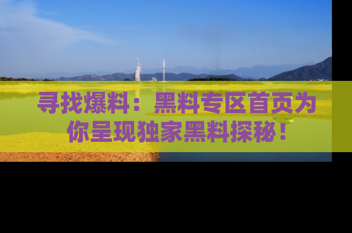 寻找爆料:黑料专区首页为你呈现独家黑料探秘!