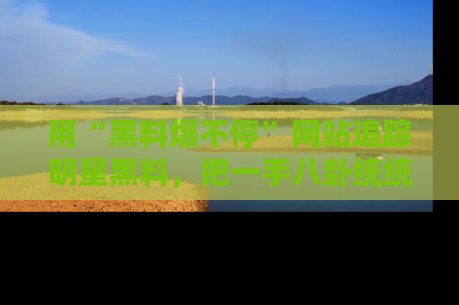 用“黑料爆不停”网站追踪明星黑料,把一手八卦统统收进你的后宫中!