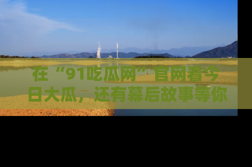 在“91吃瓜网”官网看今日大瓜,还有幕后故事等你来挖掘!