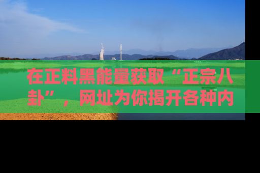 在正料黑能量获取“正宗八卦”，网址为你揭开各种内幕故事！