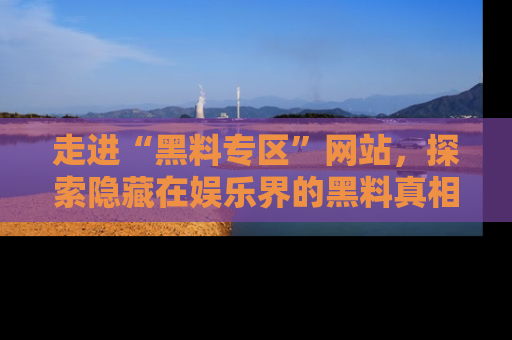走进“黑料专区”网站，探索隐藏在娱乐界的黑料真相
